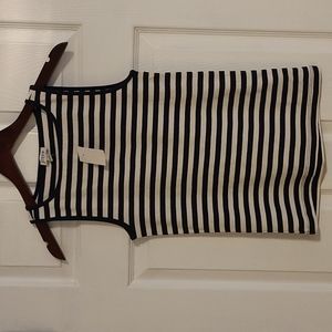 J. Crew Factory Striped Blue and White Tank Tee
